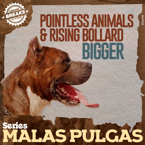 Pointless Animals, Rising Bollard-Bigger