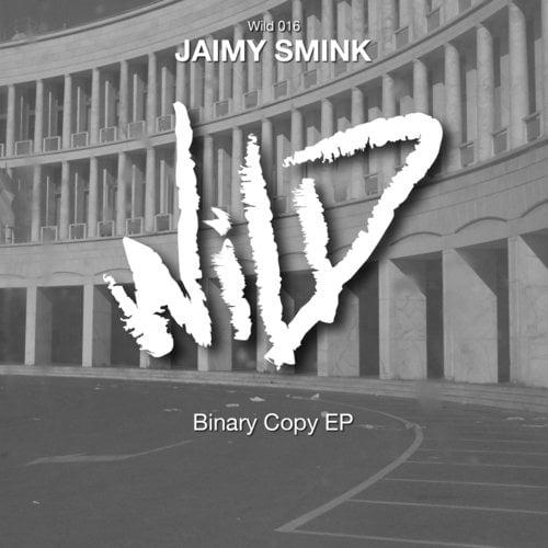 Jaimy Smink-Binary Copy