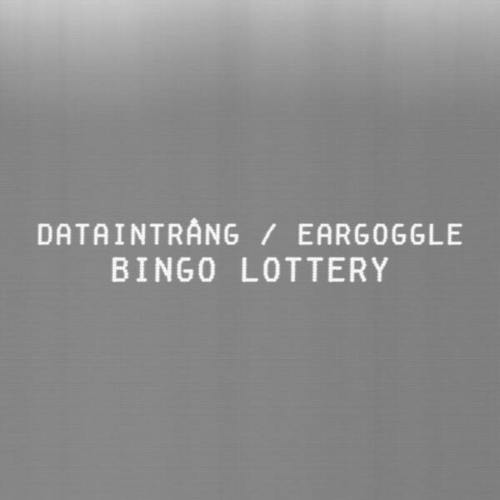 Dataintrång, Luke Eargoggle-Bingo Lottery