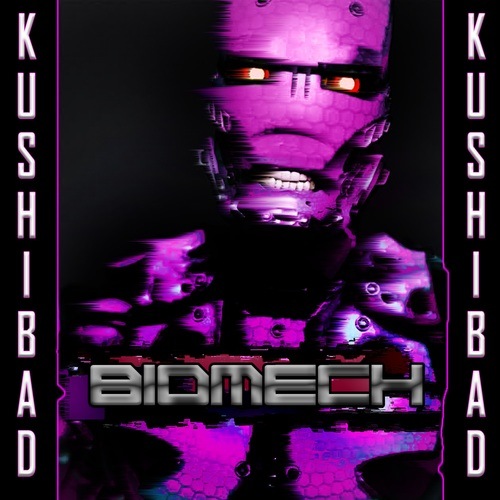Kushibad-Biomech