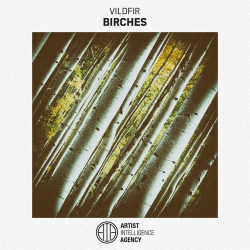 Birches