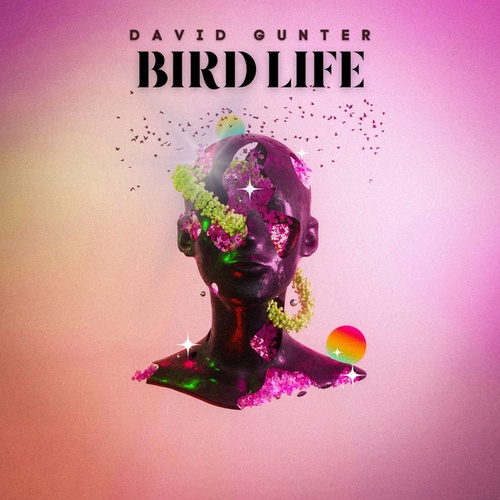 David Gunter-Bird Life