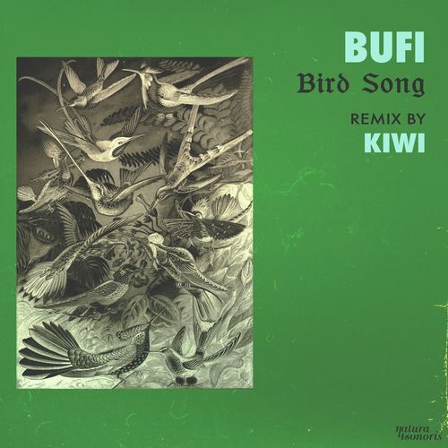 Bufi-Bird Song