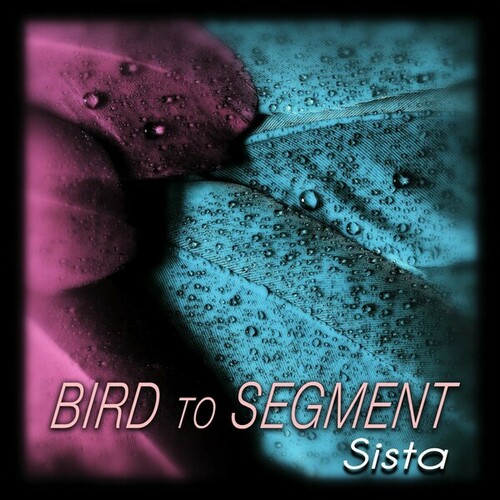 Bird to Segment