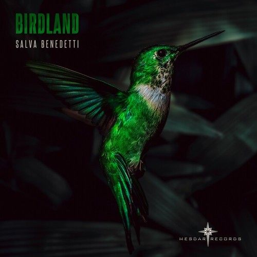Salva Benedetti-Birdland