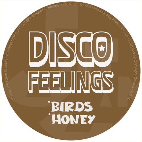 Disco Feelings-Birds & Honey