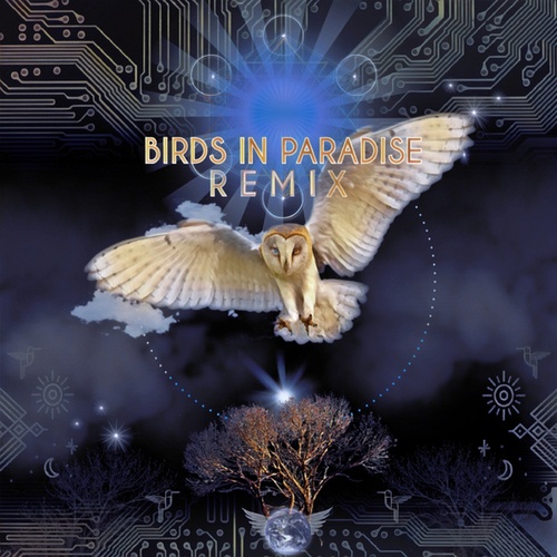 Tony Moss, Sunny Solwind, Miranda Rondeau, Bird Tribe, Jonny Joon, Dela Moon, Shaman's Dream, Geometrae, Trikaya, Duke Mushroom, Pachakroma, Auralponic, Numatik, Luke Mandala-Birds in Paradise