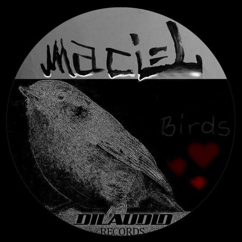 Maciel-Birds