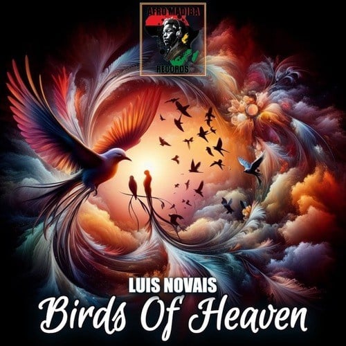 Luís Novais-Birds of Heaven