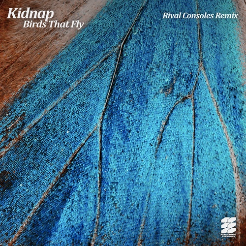 Kidnap, Rival Consoles-Birds That Fly