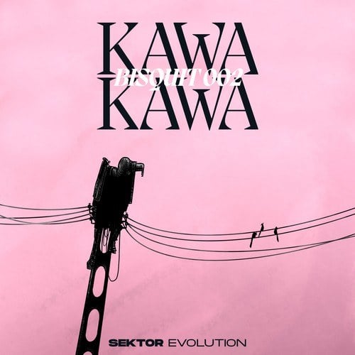 KAWA KAWA-Bisquit 002