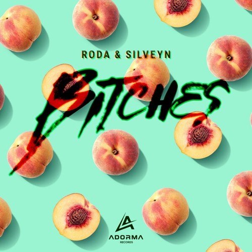 Roda, Silveyn-Bitches (Extended Mix)