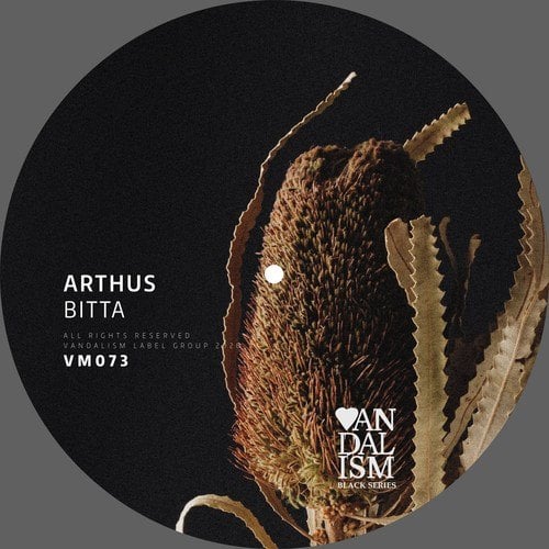 Arthus-Bitta