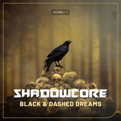 Shadowcore-Black & Dashed Dreams