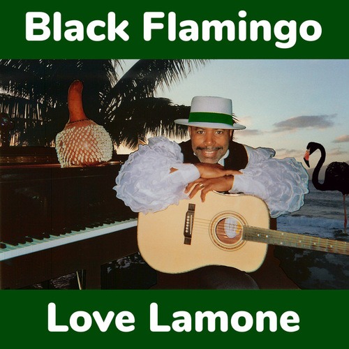 Black Flamingo