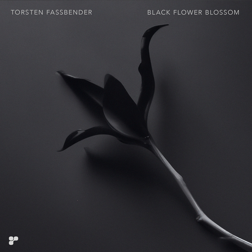 Torsten Fassbender-Black Flower Blossom