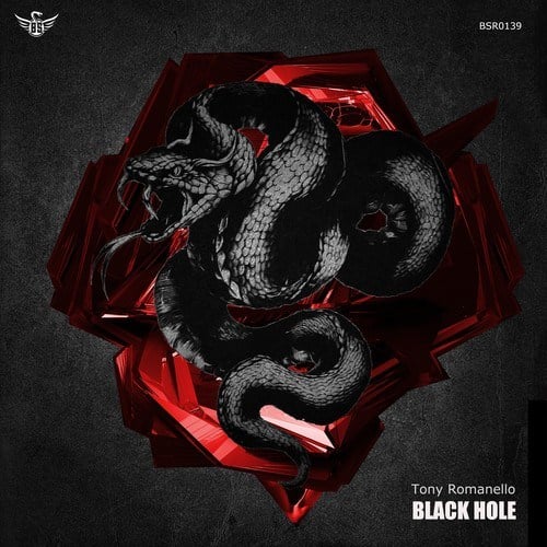 Tony Romanello-Black Hole
