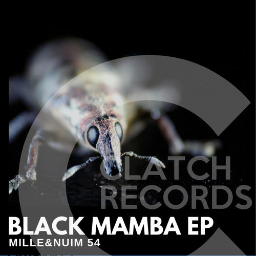 Laurent C-Black Mamba