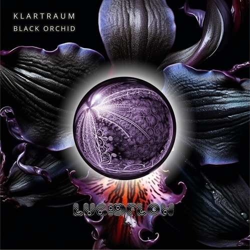 Klartraum-Black Orchid