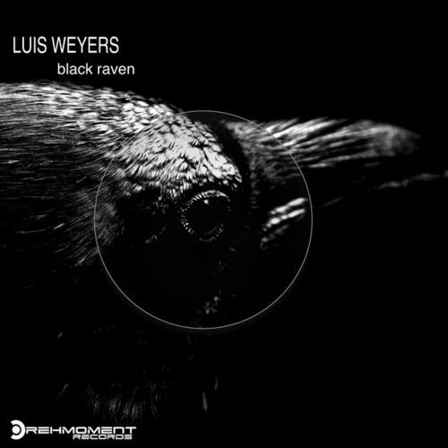 Luis Weyers-Black Raven