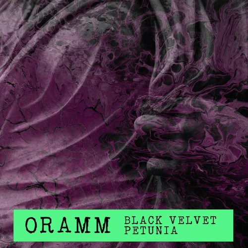 ORAMM-Black Velvet - Petunia