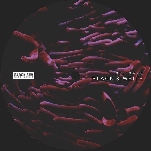 Mr. Fowks-Black & White