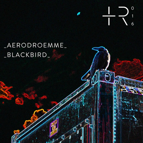 Aerodroemme-Blackbird