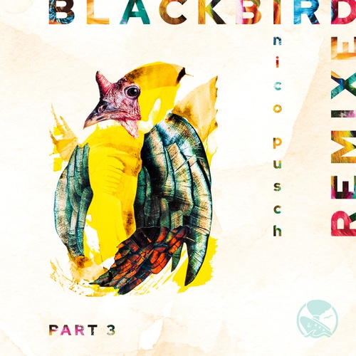 Blackbird, Pt. 3