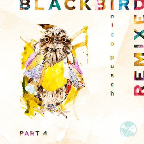 Blackbird, Pt. 4