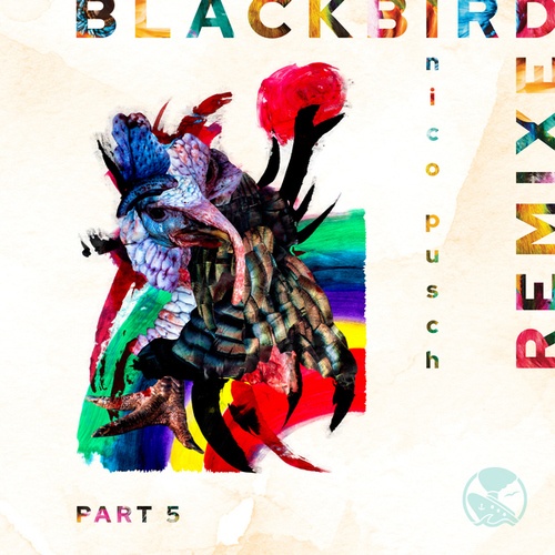 Nico Pusch, Plunk.ton, ZN Sounds-Blackbird, Pt. 5