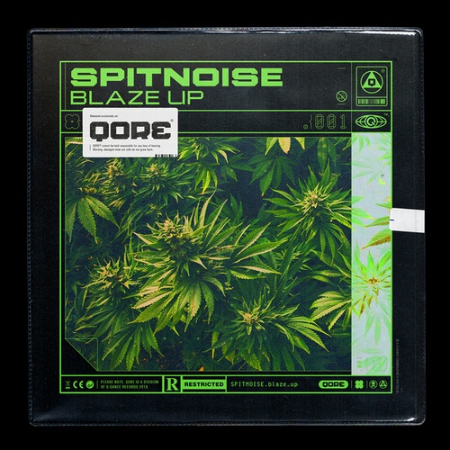 Spitnoise-Blaze Up
