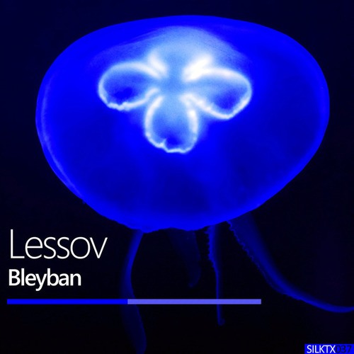 Bleyban