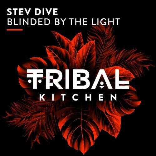 Stev Dive-Blinded by the Light