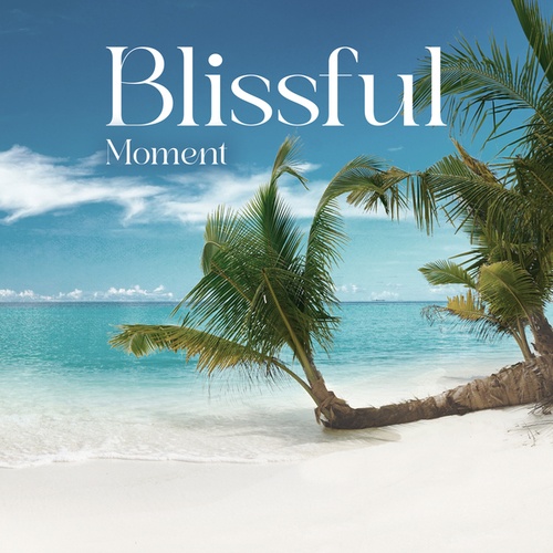 Chillout 2024-Blissful Moment