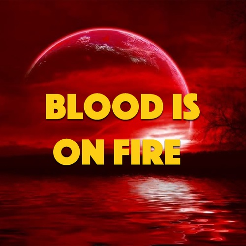Various Artists-Blood Is On Fire