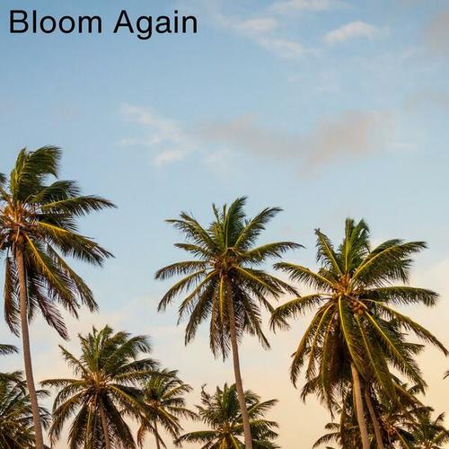 Bloom Again