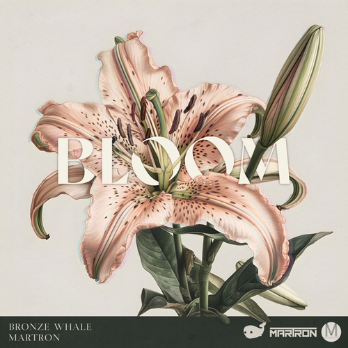 Bronze Whale, Martron-Bloom