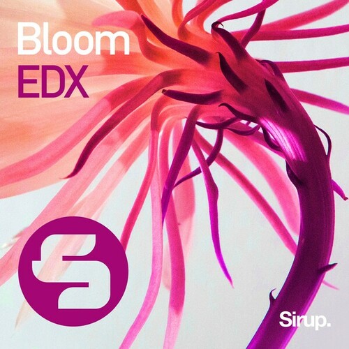 EDX-Bloom