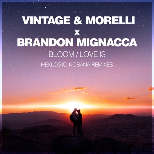 Vintage & Morelli, Brandon Mignacca, Hexlogic, Kobana-Bloom / Love Is
