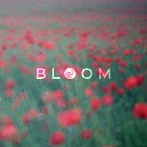 Sine-Bloom