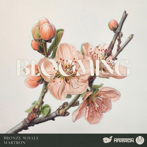Bronze Whale, Martron-Blooming