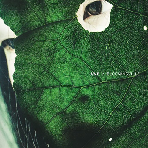 AWB, Peter Van Hoesen-BLOOMINGVILLE