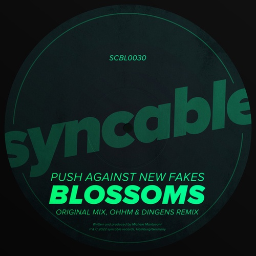 Push Against New Fakes, Dingens, OHHM-Blossoms