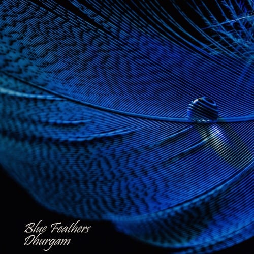 Blue Feathers