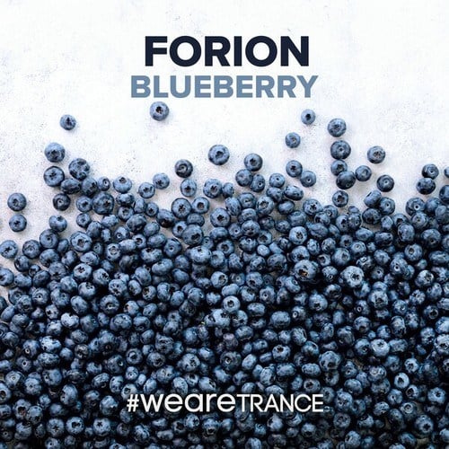 Forion-Blueberry
