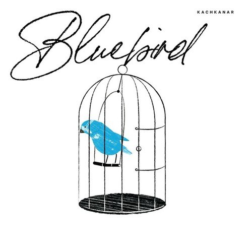 Bluebird