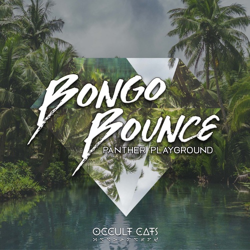 Panther Playground-Bongo Bounce