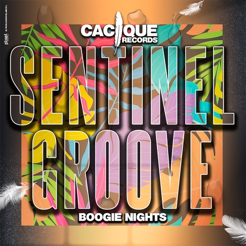 Sentinel Groove-Boogie Nights