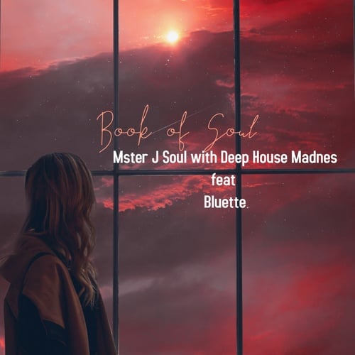 Deep House Madness, Johnny Mster J Soul-Book of Soul