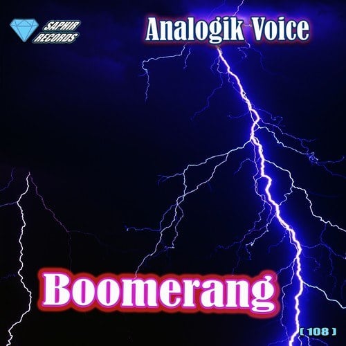 Analogik Voice-Boomerang